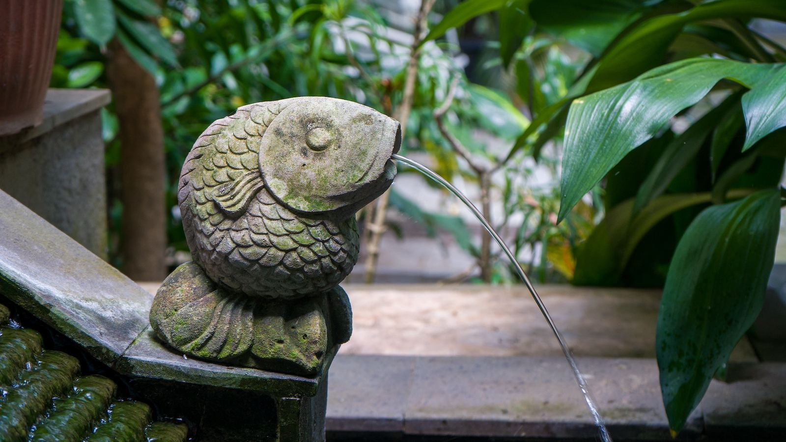 How to Choose a Water Pump for Your Water Feature?