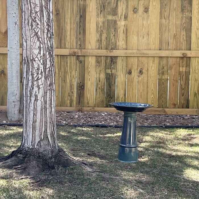 Collaroy Bird Bath customer pic