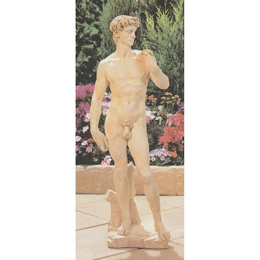 Statue of David